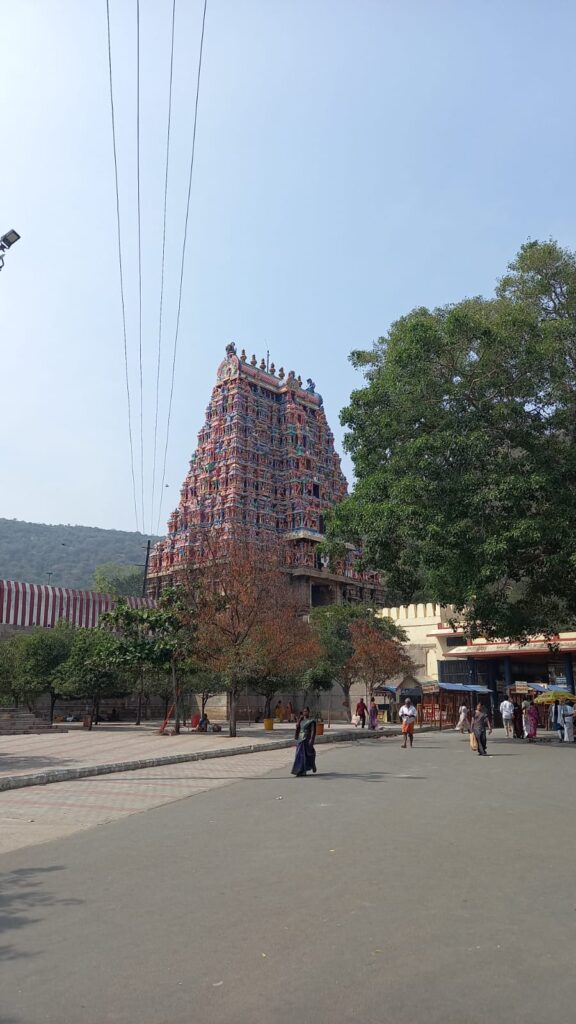 whatsapp image 2026 02 18 at 13.05.27 (1)