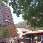 whatsapp image 2026 02 18 at 13.05.27