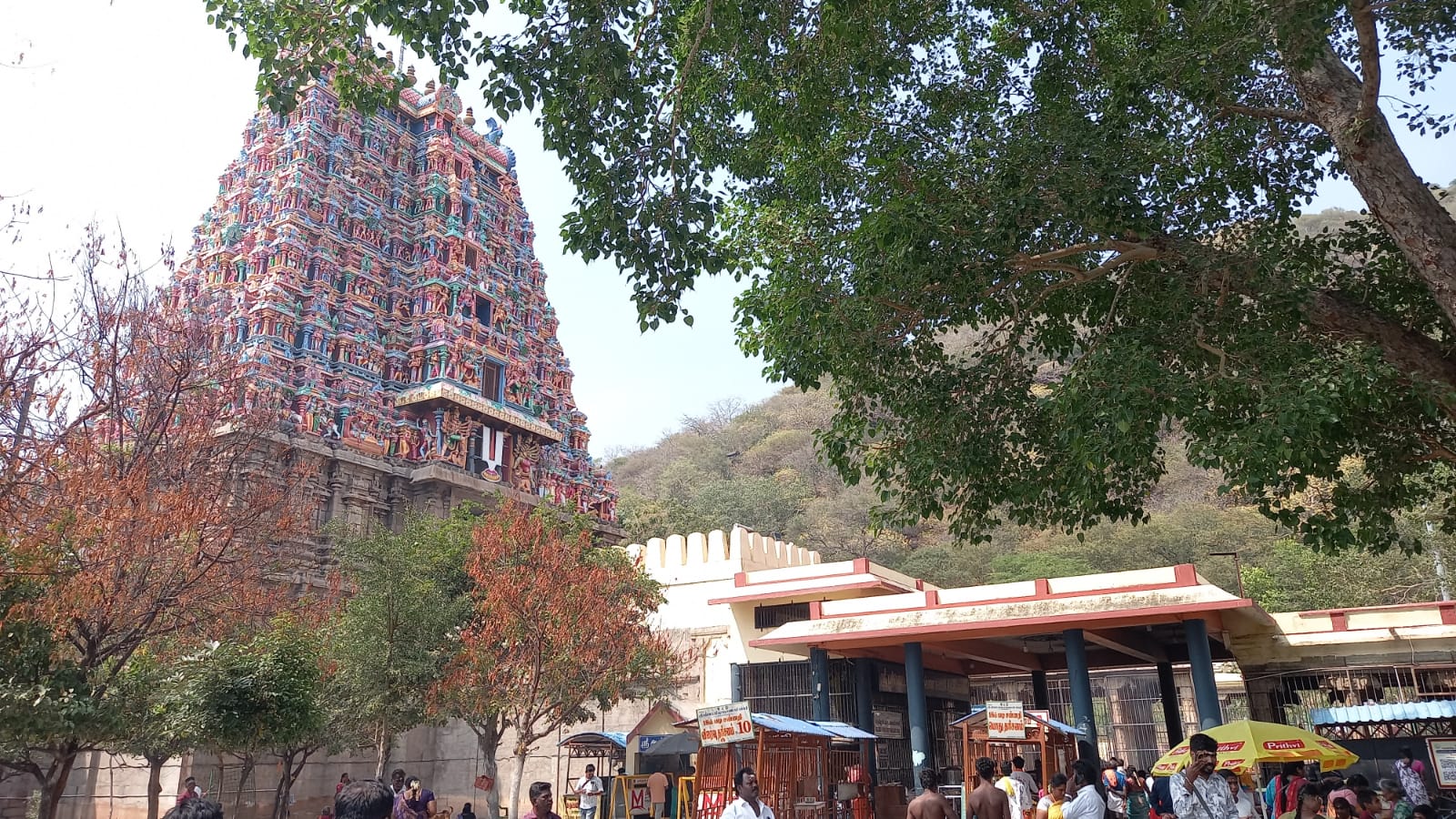 Arulmigu Kallalagar Temple, Alagarkovil, Madurai whatsapp image 2026 02 18 at 13.05.27
